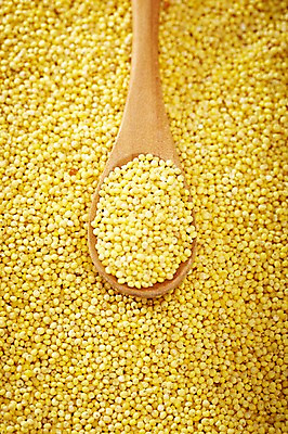 포토 JPG 스튜디오촬영 식기 음식 다수 백그라운드 식재료 곡류 수저 실내 근접촬영 사람없음 아웃포커스 농작물 숟가락 여러개 낟알 담기 알맹이 잡곡 조 국내포토 뷰포인트 농업 모션 촬영기법 내부 파일형식