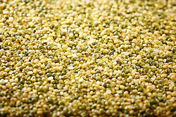 포토 JPG 스튜디오촬영 음식 다수 백그라운드 식재료 곡류 실내 근접촬영 사람없음 아웃포커스 농작물 여러개 낟알 알맹이 잡곡 녹두 국내포토 뷰포인트 농업 촬영기법 내부 파일형식