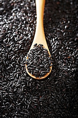 포토 JPG 스튜디오촬영 식기 음식 다수 백그라운드 식재료 곡류 수저 실내 근접촬영 사람없음 아웃포커스 농작물 숟가락 여러개 낟알 담기 알맹이 잡곡 흑미 국내포토 뷰포인트 농업 모션 촬영기법 내부 파일형식