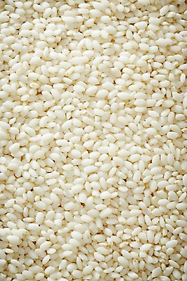 포토 JPG 스튜디오촬영 음식 다수 백그라운드 식재료 곡류 실내 근접촬영 사람없음 아웃포커스 농작물 여러개 낟알 밀 알맹이 잡곡 국내포토 뷰포인트 농업 촬영기법 내부 파일형식