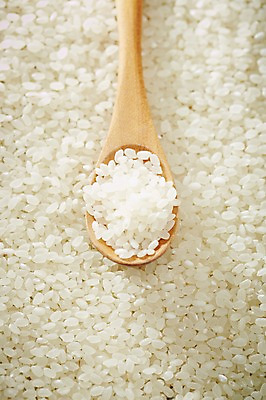 포토 JPG 스튜디오촬영 식기 음식 다수 백그라운드 식재료 곡류 수저 실내 근접촬영 사람없음 아웃포커스 농작물 숟가락 여러개 쌀 낟알 담기 알맹이 잡곡 국내포토 뷰포인트 농업 모션 촬영기법 내부 파일형식