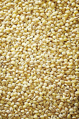 포토 JPG 스튜디오촬영 음식 다수 백그라운드 식재료 곡류 실내 근접촬영 사람없음 아웃포커스 농작물 여러개 낟알 알맹이 보리 잡곡 국내포토 뷰포인트 농업 촬영기법 내부 파일형식