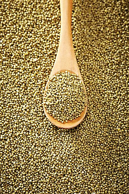 포토 JPG 스튜디오촬영 식기 음식 다수 백그라운드 식재료 곡류 수저 실내 근접촬영 사람없음 아웃포커스 농작물 숟가락 여러개 낟알 담기 알맹이 잡곡 국내포토 뷰포인트 농업 모션 촬영기법 내부 파일형식