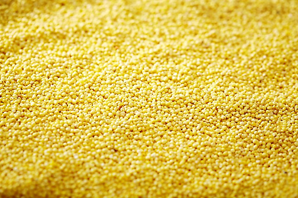 포토 JPG 스튜디오촬영 음식 다수 백그라운드 식재료 곡류 실내 근접촬영 사람없음 아웃포커스 농작물 여러개 낟알 알맹이 잡곡 조 국내포토 뷰포인트 농업 촬영기법 내부 파일형식