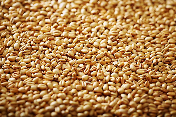 포토 JPG 스튜디오촬영 음식 다수 백그라운드 식재료 곡류 실내 근접촬영 사람없음 아웃포커스 농작물 여러개 낟알 알맹이 잡곡 호밀 국내포토 뷰포인트 농업 촬영기법 내부 파일형식