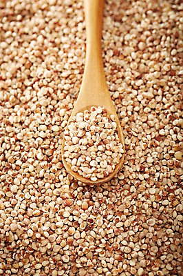 포토 JPG 스튜디오촬영 식기 음식 다수 백그라운드 식재료 곡류 수저 실내 근접촬영 사람없음 아웃포커스 농작물 숟가락 여러개 낟알 담기 알맹이 잡곡 수수 국내포토 뷰포인트 농업 모션 촬영기법 내부 파일형식