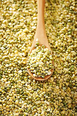 포토 JPG 스튜디오촬영 식기 음식 다수 백그라운드 식재료 곡류 수저 실내 근접촬영 사람없음 아웃포커스 농작물 숟가락 여러개 낟알 담기 알맹이 잡곡 녹두 국내포토 뷰포인트 농업 모션 촬영기법 내부 파일형식