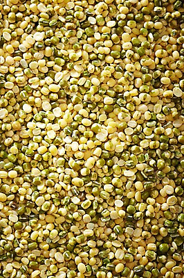 포토 JPG 스튜디오촬영 음식 다수 백그라운드 식재료 곡류 실내 근접촬영 사람없음 아웃포커스 농작물 여러개 낟알 알맹이 잡곡 녹두 국내포토 뷰포인트 농업 촬영기법 내부 파일형식