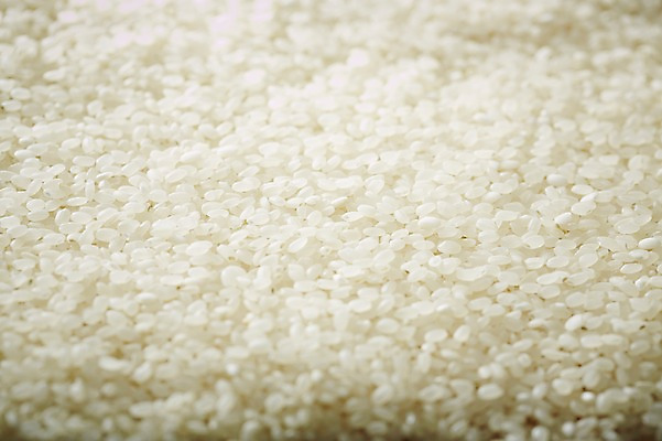 포토 JPG 스튜디오촬영 음식 다수 백그라운드 식재료 곡류 실내 근접촬영 사람없음 아웃포커스 농작물 여러개 쌀 낟알 알맹이 잡곡 국내포토 뷰포인트 농업 촬영기법 내부 파일형식