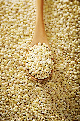 포토 JPG 스튜디오촬영 식기 음식 다수 백그라운드 식재료 곡류 수저 실내 근접촬영 사람없음 아웃포커스 농작물 숟가락 여러개 낟알 담기 알맹이 보리 잡곡 국내포토 뷰포인트 농업 모션 촬영기법 내부 파일형식