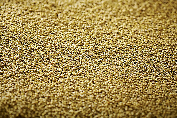 포토 JPG 스튜디오촬영 음식 다수 백그라운드 식재료 곡류 실내 근접촬영 사람없음 아웃포커스 농작물 여러개 낟알 알맹이 잡곡 국내포토 뷰포인트 농업 촬영기법 내부 파일형식