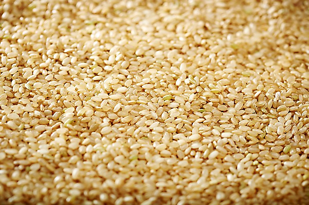 포토 JPG 스튜디오촬영 음식 다수 백그라운드 식재료 곡류 실내 근접촬영 사람없음 아웃포커스 농작물 여러개 낟알 알맹이 잡곡 현미 국내포토 뷰포인트 농업 촬영기법 내부 파일형식