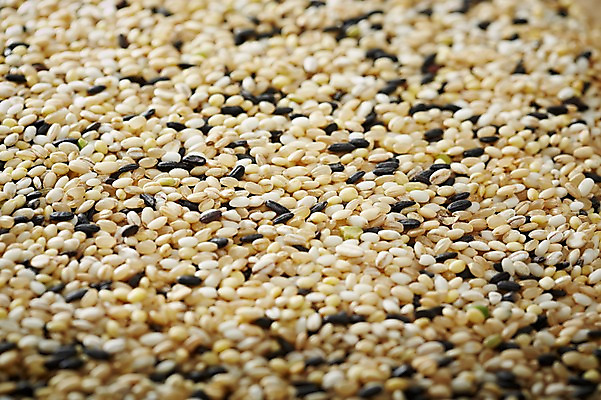 포토 JPG 스튜디오촬영 음식 다수 백그라운드 식재료 곡류 실내 근접촬영 사람없음 아웃포커스 농작물 여러개 다양 혼합 낟알 알맹이 잡곡 국내포토 뷰포인트 농업 촬영기법 내부 파일형식