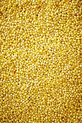 포토 JPG 스튜디오촬영 음식 다수 백그라운드 식재료 곡류 실내 근접촬영 사람없음 아웃포커스 농작물 여러개 낟알 알맹이 잡곡 조 국내포토 뷰포인트 농업 촬영기법 내부 파일형식