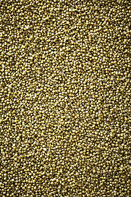 포토 JPG 스튜디오촬영 음식 다수 백그라운드 식재료 곡류 실내 근접촬영 사람없음 아웃포커스 농작물 여러개 낟알 알맹이 잡곡 국내포토 뷰포인트 농업 촬영기법 내부 파일형식