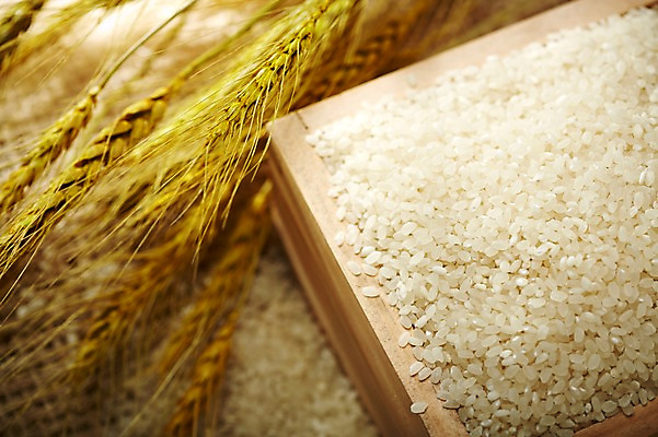 포토 JPG 스튜디오촬영 음식 다수 백그라운드 식재료 곡류 실내 근접촬영 사람없음 아웃포커스 농작물 상자 여러개 쌀 낟알 담기 알맹이 보리 잡곡 국내포토 뷰포인트 농업 모션 촬영기법 내부 파일형식