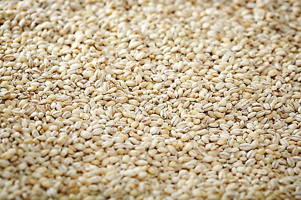 포토 JPG 스튜디오촬영 음식 다수 백그라운드 식재료 곡류 실내 근접촬영 사람없음 아웃포커스 농작물 여러개 낟알 알맹이 잡곡 찰보리 국내포토 뷰포인트 농업 촬영기법 내부 파일형식