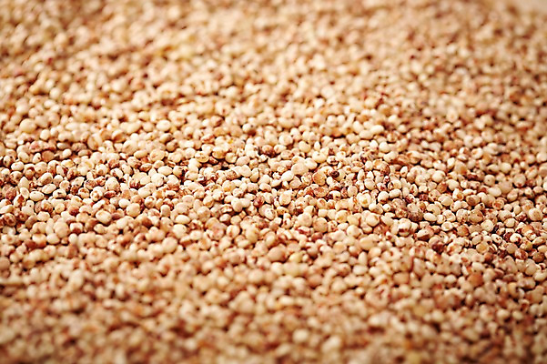 포토 JPG 스튜디오촬영 음식 다수 백그라운드 식재료 곡류 실내 근접촬영 사람없음 아웃포커스 농작물 여러개 낟알 알맹이 잡곡 수수 국내포토 뷰포인트 농업 촬영기법 내부 파일형식