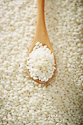 포토 JPG 스튜디오촬영 식기 음식 다수 백그라운드 식재료 곡류 수저 실내 근접촬영 사람없음 아웃포커스 농작물 숟가락 여러개 쌀 낟알 밀 담기 알맹이 잡곡 국내포토 뷰포인트 농업 모션 촬영기법 내부 파일형식