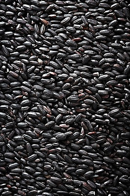 포토 JPG 스튜디오촬영 음식 다수 백그라운드 식재료 곡류 실내 근접촬영 사람없음 아웃포커스 농작물 여러개 낟알 알맹이 잡곡 흑미 국내포토 뷰포인트 농업 촬영기법 내부 파일형식