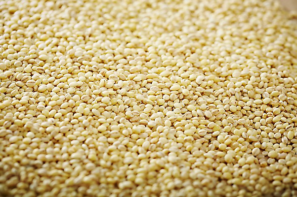 포토 JPG 스튜디오촬영 음식 다수 백그라운드 식재료 곡류 실내 근접촬영 사람없음 아웃포커스 농작물 여러개 낟알 알맹이 보리 잡곡 국내포토 뷰포인트 농업 촬영기법 내부 파일형식