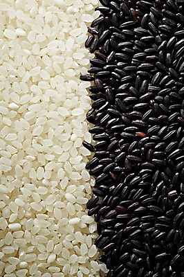 포토 JPG 스튜디오촬영 음식 다수 백그라운드 식재료 곡류 실내 근접촬영 사람없음 아웃포커스 농작물 여러개 쌀 낟알 알맹이 잡곡 흑미 국내포토 뷰포인트 농업 촬영기법 내부 파일형식