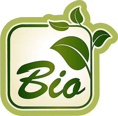 모양 식물 문양 알파벳 영어 문장 캠페인 상징 백그라운드 스티커 잎 무늬 일러스트 자연 나뭇잎 사람없음 단어 꼬리표 라벨 자연보호 환경 그린캠페인 심볼 에코 친환경 배지 바이오 국내일러스트 AI파일 문자 프레임 보호 생태계 파일형식 벡터