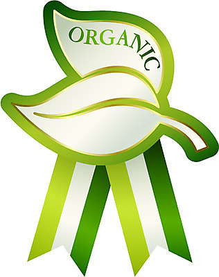 모양 식물 문양 알파벳 영어 리본 문장 캠페인 상징 백그라운드 스티커 잎 무늬 일러스트 자연 나뭇잎 사람없음 단어 꼬리표 라벨 자연보호 환경 그린캠페인 끈 심볼 에코 친환경 유기농 배지 국내일러스트 AI파일 문자 웰빙 프레임 보호 생태계 파일형식 벡터