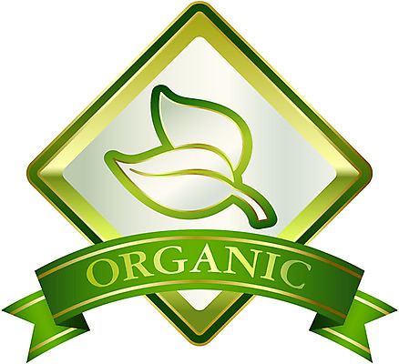 모양 식물 문양 알파벳 영어 리본 문장 캠페인 상징 백그라운드 스티커 잎 무늬 일러스트 자연 나뭇잎 사람없음 단어 꼬리표 라벨 자연보호 환경 그린캠페인 끈 심볼 에코 친환경 유기농 배지 국내일러스트 AI파일 문자 웰빙 프레임 보호 생태계 파일형식 벡터