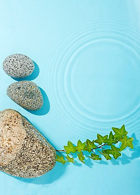 포토 JPG 스튜디오촬영 식물 물결 백그라운드 실내 사람없음 물 돌_바위 바위 풀 국내포토 자연요소 내부 파일형식