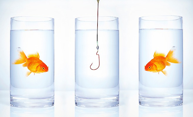 포토 JPG 스튜디오촬영 동물 백그라운드 두마리 낚시 잔 실내 관상어 어류 사람없음 컵 빨간색 물 마주보기 주황색 수중동물 낚싯바늘 금붕어 낚시줄 국내포토 자연요소 식기 컬러 2 모션 레저 내부 낚시용품 파일형식