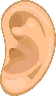 EPS 해외이미지 모양 1 디자인 백그라운드 신체 일러스트 부분 해부 건강 사람 그래픽 검은색 웹 침묵 소리 듣기 흰색 도움 감각 오르간 플랫 볼륨 심볼 귀 시끄러움 청각 고립 돌봄 적자 해외202004 해외일러스트 컬러 컨셉 인터넷 의학 모션 신체부위 건반악기 파일형식 벡터 악기 건반 음악 문화예술 이미지허브