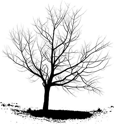 EPS 해외이미지 나무 겨울 일러스트 사람없음 검은색 해외202004 해외일러스트 식물 계절 컬러 파일형식 벡터 이미지허브