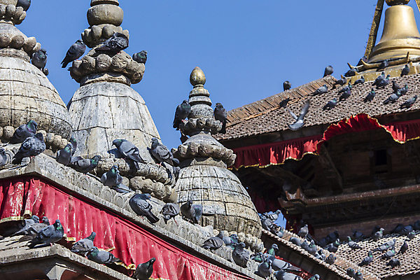 포토 JPG 해외이미지 전통 아시아 문화 여행 건축양식 지붕 미술 사람 동양인 사람없음 건물 여행객 탑 계곡 궁전 골동품 도시 사찰 역사 재산 옥상 인도인 공예 비둘기 정사각형 광장 네팔 타운 덩어리 숭배 옛날 힌두교 해외202004 해외포토 도형 외국인 건축물 건축 나라 종교 고건축 종교건축 조류 문화예술 인종 취미 금융 파일형식 이미지허브