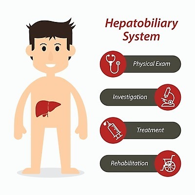 EPS 해외이미지 디자인 남자 과학 신체 일러스트 해부 청진기 건강 현미경 주사기 사람 성인 내부 약 인포그래픽 오르간 플랫 질병 만화 휠체어 생물학 간 시스템 암 외과 방광 돌봄 해외202004 해외일러스트 교육 의학 의료기기 모션 병원 실험기구 장기_의학 건반악기 비뇨기관 파일형식 벡터 이미지허브