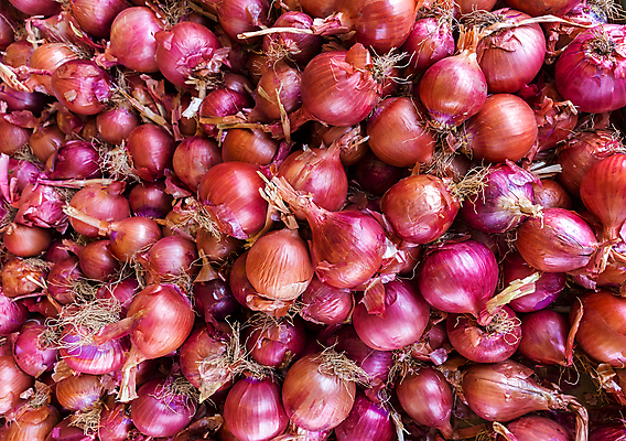 포토 JPG 해외이미지 식물 잡화 음식 농업 채소 재료 전구 양파 건강 씨앗 사람없음 빨간색 수확 신선 시장 유기농 원예 생물학 향기 뿌리 흙더미 제비 많음 해외202004 해외포토 웰빙 교육 산업 컬러 컨셉 조류 취미 흙 냄새 파일형식 더미 이미지허브