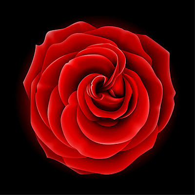 EPS 해외이미지 클립아트 식물 꽃잎 꽃 백그라운드 일러스트 자연 사랑 경사 빨간색 장미 검은색 어둠 벚꽃 심볼 오브젝트 싱글 정사각형 진홍색 망사 강렬 현실 해외202004 해외일러스트 도형 감정 컬러 직물 생태계 파일형식 벡터 이미지허브