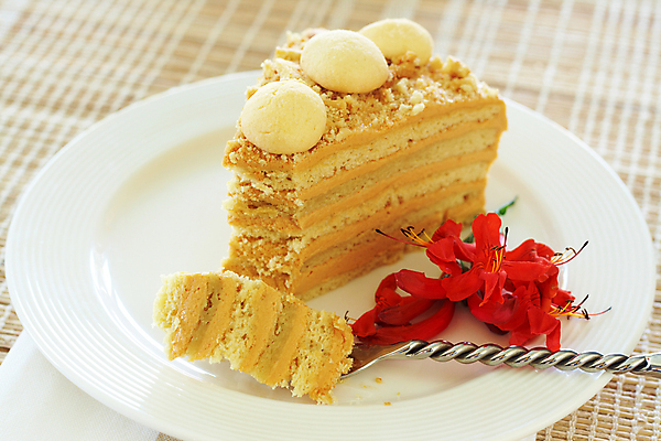 포토 JPG 해외이미지 1 꽃 음식 조각 포크 꽃무늬 다이어트 오렌지 디저트 요리 사람없음 장식 컬러풀 갈색 파티 쿠키 케이크 요식업 식당 얼음 희망 벚꽃 축하 대접 신선 생일 황금 달콤 맛 큼 굽기 크림 싱글 토핑 층 꿀 타르트 페스츄리 핸드메이드 캐러멜 해외202004 해외포토 자연요소 식물 식기 기념일 감정 산업 빵 컬러 컨셉 무늬 과일 건강 이벤트 상점 크기 구이 파이_빵 파일형식 이미지허브