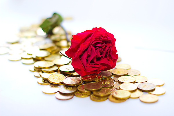 포토 JPG 해외이미지 식물 꽃 컨셉 돈 비즈니스 자연 성공 사람없음 금융 경제 빛 장미 노란색 쌓기 탑 금속 동전 거래 저축 성장 기둥 시장 재산 황금 속도 투자 상업 보물 흙더미 관심 동물상 수입 많음 해외202004 해외포토 건축물 건축 컬러 모션 재질 조형물 흙 생태계 파일형식 더미 이미지허브