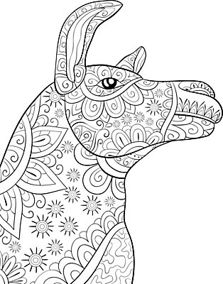 EPS 해외이미지 동물 디자인 꽃잎 꽃 선 컨셉 잎 꽃무늬 곡선 일러스트 자연 그림 윤곽 라마 스타일 해외202004 해외일러스트 식물 무늬 생태계 파일형식 벡터 이미지허브