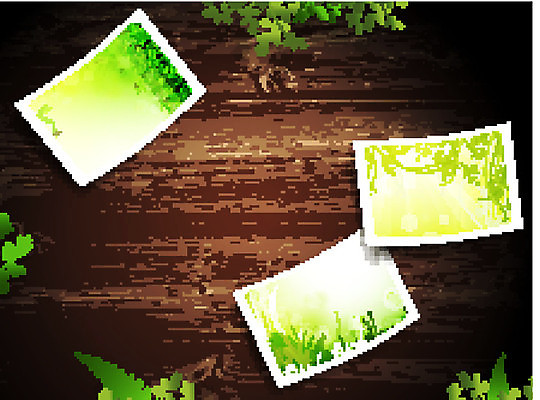 EPS 해외이미지 식물 백그라운드 잎 꽃무늬 일러스트 자연 추상 프레임 잔디 목재 초록색 여름 환경 봄 활발 성장 신선 대나무 에코 유기농 질감 내추럴 생태학 카피스페이스 그리너리 해외202004 해외일러스트 나무 웰빙 계절 교육 꽃 컬러 컨셉 무늬 재료 공백 생태계 파일형식 벡터 트랜드컬러 이미지허브