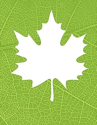 EPS 해외이미지 템플릿 디자인 포스터 종이 지구 백그라운드 컨셉 잎 패턴 일러스트 자연 벽지 추상 초록색 재활용 인쇄 에코 유기농 질감 정맥 내추럴 그런지 바이오 생태학 해외202004 해외일러스트 식물 웰빙 교육 컬러 무늬 환경 친환경 생태계 혈관 파일형식 벡터 이미지허브