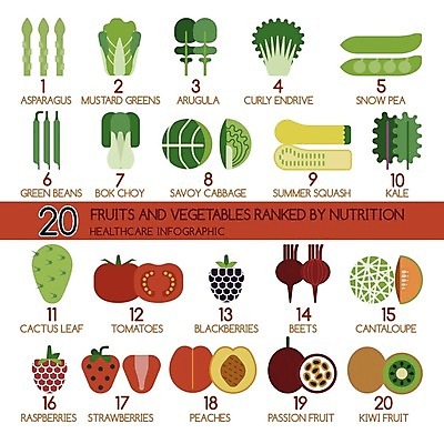 EPS 해외이미지 잎 다이어트 토마토 채소 과일 일러스트 딸기 선인장 건강 키위 사람없음 초록색 여름 세트 인포그래픽 신선 상추 멜론 머스터드 완두콩 양배추 아스파라거스 산딸기 복숭아 블랙베리 채식주의자 케일 해외202004 해외일러스트 식물 계절 컬러 콩 소스_음식 채식 파일형식 벡터 이미지허브