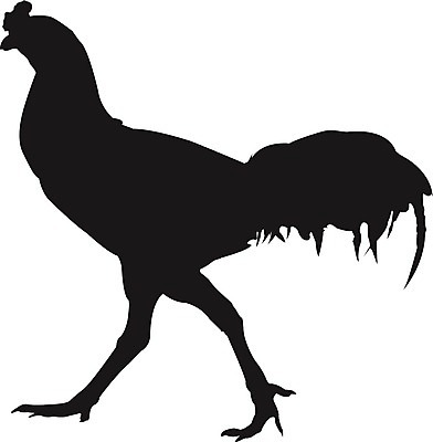 EPS 해외이미지 동물 캐릭터 배너 커플 꽃 행복 실루엣 어린이 결혼 백그라운드 스티커 패턴 일러스트 조류 하늘 추상 휴가 부활절 발렌타인데이 병아리 사랑 미술 소년 컬러풀 파티 치킨 수확 아기 인사 신용카드 만화 깃털 심플 수탉 특별함 해외202004 해외일러스트 일러캐릭터 식물 기념일 남자 감정 컬러 컨셉 무늬 농업 관계 데이이벤트 문화예술 촬영기법 사람 이벤트 금융 예절 닭 수컷 닭고기요리 파일형식 벡터 이미지허브