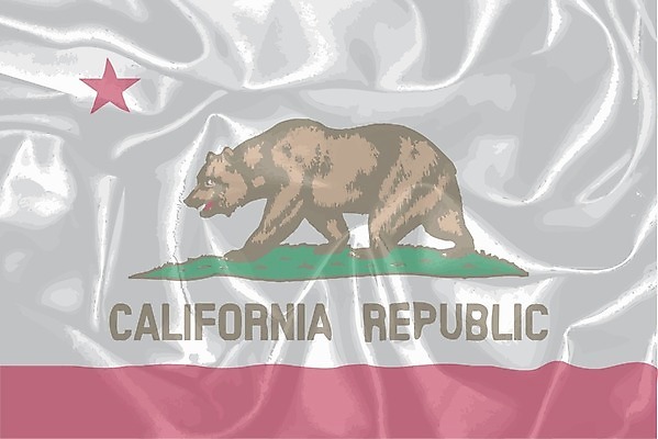 EPS 해외이미지 일러스트 미술 그래픽 미국 깃발 실크 그림 캘리포니아 해외202004 해외일러스트 북아메리카 문화예술 직물 파일형식 벡터 이미지허브