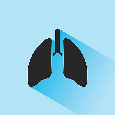 EPS 해외이미지 모양 과학 신체 일러스트 해부 흡연 건강 병원 미술 사람 약 오르간 호흡기관 플랫 호흡 사인 생물학 암 고립 궤 돌봄 해외202004 해외일러스트 교육 의학 모션 문화예술 담배 건반악기 장기 질병 파일형식 벡터 악기 건반 음악 이미지허브