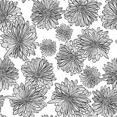 EPS 해외이미지 식물 손 디자인 꽃잎 꽃 선 백그라운드 꽃무늬 패턴 일러스트 자연 국화 흑백 건강 사람없음 책 여름 유행 검은색 봄 흰색 직물 정상 인쇄 스케치 그림 데이지 윤곽 거베라 내추럴 엘리먼트 캐모마일 포장소품 해외202004 해외일러스트 계절 컬러 무늬 포장 촬영기법 미술 신체부위 허브 오브젝트 생태계 포장재료 파일형식 벡터 이미지허브