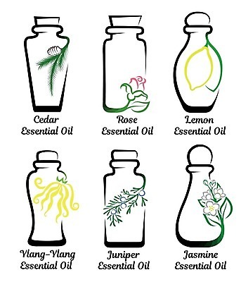 EPS 해외이미지 나무 식물 웰빙 디자인 꽃 잎 과일 일러스트 자연 유리 건강 치료 초록색 세트 장미 라벨 스파 나뭇가지 신선 마사지 액체 상품 레몬 허브 심볼 향수 플라스크 명상 사인 유기농 아로마 아로마테라피 테라피 고립 돌봄 삼나무 향나무 해외202004 해외일러스트 컬러 의학 모션 재질 프레임 실험기구 뷰티 화장품 생태계 파일형식 벡터 이미지허브