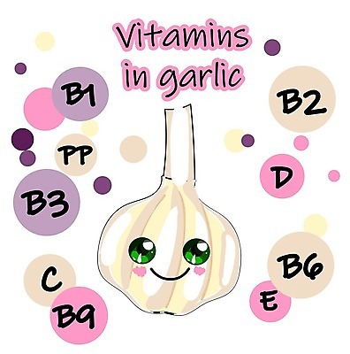 EPS 해외이미지 식물 디자인 얼굴 어린이 음식 백그라운드 다이어트 채소 일러스트 재료 자연 건강 초록색 컬러풀 정원 신선 양념 맛 만화 스케치 먹기 허브 그림 유기농 코믹 내추럴 고립 숙성 엘리먼트 채식주의자 비건 해외202004 해외일러스트 웰빙 컬러 컨셉 모션 미술 사람 신체부위 생태계 채식 파일형식 벡터 이미지허브