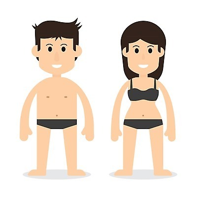 EPS 해외이미지 캐릭터 디자인 여자 남자 과학 신체 일러스트 해부 건강 미소 사람 성인 그래픽 껍질 플랫 속옷 누드 만화 브래지어 날씬함 생물학 고립 돌봄 벌거벗은 해외202004 해외일러스트 일러캐릭터 옷 교육 의학 모션 표정 몸매 파일형식 벡터 이미지허브